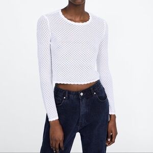 ZARA Semi-Sheer Textured Sweater